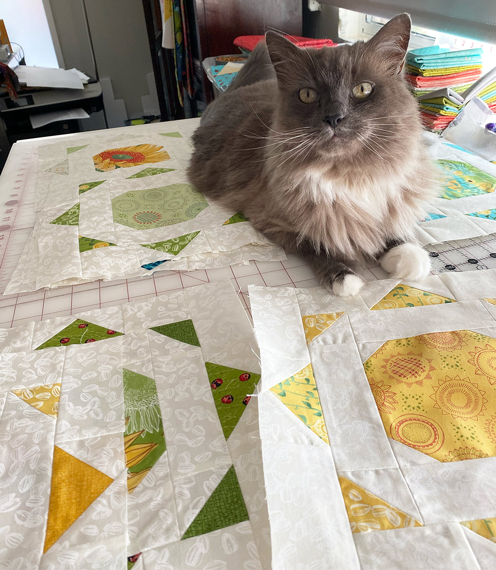 Simple Solstice quilt blocks with my cat visitor