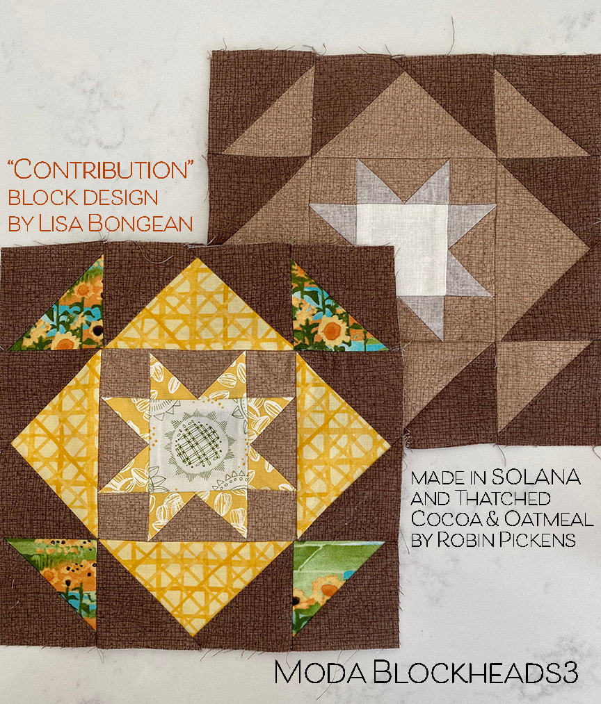 Contribution block in Solana and Thatched for Moda Blockheads
