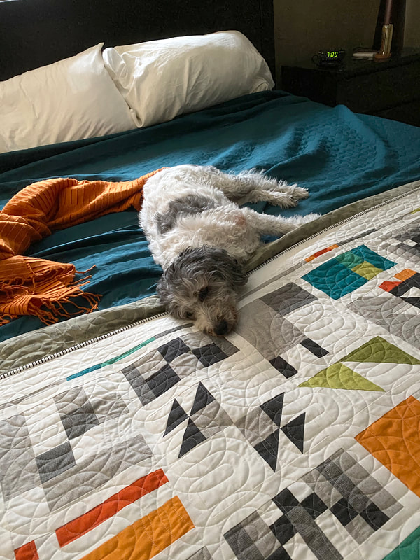 Roxy on the Kinship quilt in Thatched