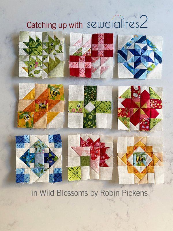 Sewcialites 2 blocks in Robin Pickens' Wild Blossoms FQS sewalong